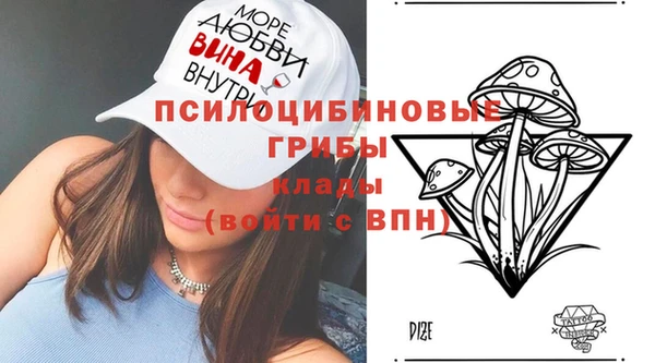 скорость Алзамай