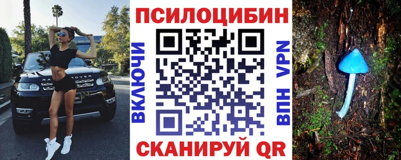 как найти закладки Кемь Псилоцибиновые грибы ЛСД